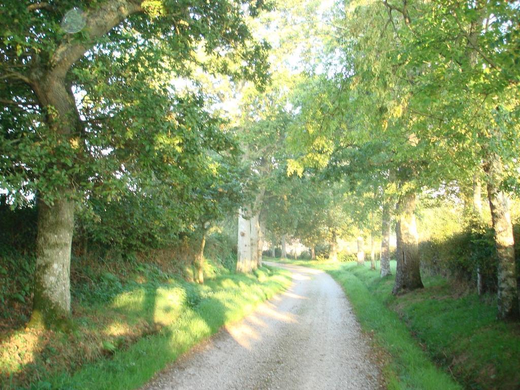 Chateau Le Val Brix Cameră foto